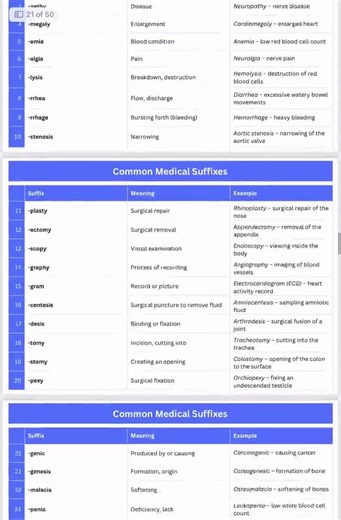 Medical Terminology Flashcards: Prefixes, Suffixes, Abbreviations (digital Download, PDF   PNG Stickers) - Etsy