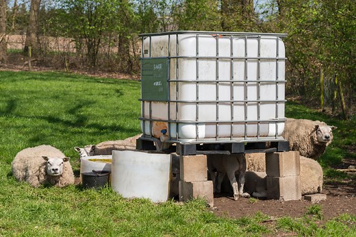 IBC Container verkleiden ∗ Anleitung, Video und Tipps