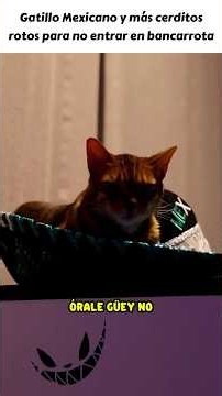 Gatillo Mexicano #rubius #billsmustbepaid #humor