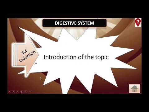 CCSCAT Digital School: How it works...