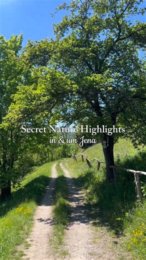 visit Jena on Instagram: "Secret Nature Highlights in & um Jena 🌿 Von leuchtenden Winterlingen im Rautal, über Märzenbecher im Frühling, zarte Kirschblüten im April, Orchideen im Leutratal bis zu den Perückensträuchern im Herbst: Diese Highlights zeigen die Natur in & um Jena in ihrer besonderen Vielfalt. Perfekt für alle, die Natur in Thüringen, Wandern rund um Jena oder besondere Ausflugsziele suchen – egal ob Besuch, Wochenendtrip oder Heimatliebe. 💾 Speichern & zur richtigen Jahreszeit wie