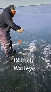 Setting the Hook on a 12in Walleye #wisco3 #Wisconsin #icefishing #hardwaterfishing #walleye #walleyefishing #icefishinglife #hardwater | Wisco3 Ice Fishing Co