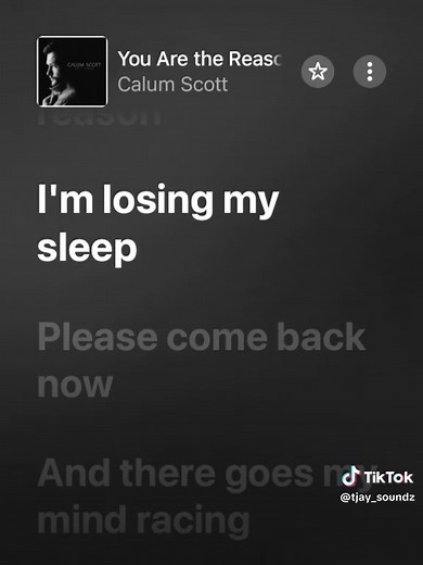 You Are The Reason by Calum Scott - Lyrics Video