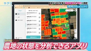 MBS動画イズム
