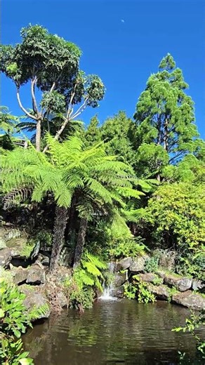 Blue Mountains ,Australia. Please like & subscribe.