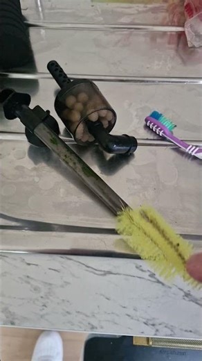 best tools to clean all sponge filters