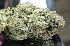 Washing Machine | Marijuana Strain Reviews
