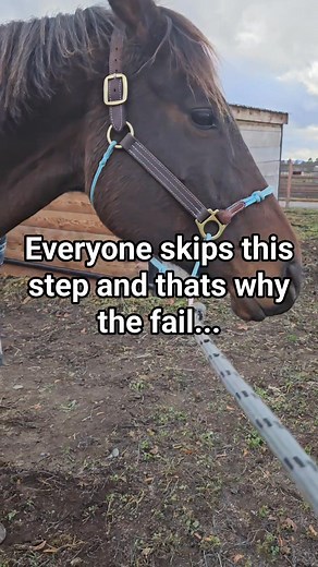 Everyone who skips this step… getting up, taking action, paying attention to what keeps presenting to them ... something that can give them the life they really want...well, that’s why they fail. No action! You want the change. You dream of freedom. But when it’s time to get up — you hesitate. See, real success doesn’t come from wishing for it... It starts the moment you DECIDE to rise. I see you laying low, burned out, wondering if there is something more. I was there not so long ago...ugh! But