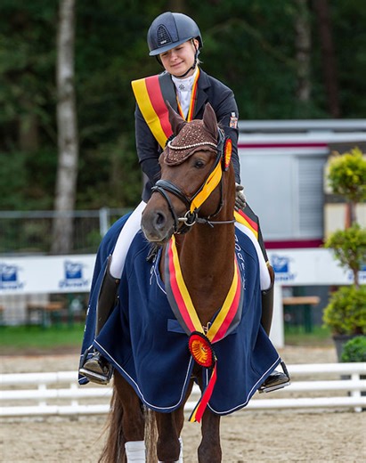 FEI Dressage Pony for Sale: Timms Ozzie