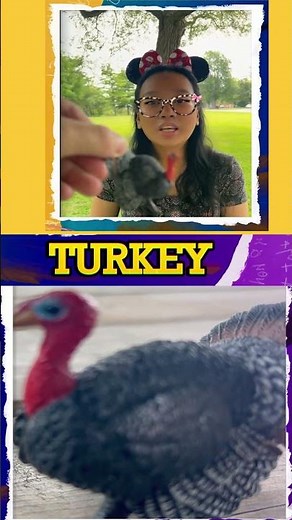 Saying The Tagalog Word Pabo For This Little Toy Turkey Beside The Wooden Table And Trees