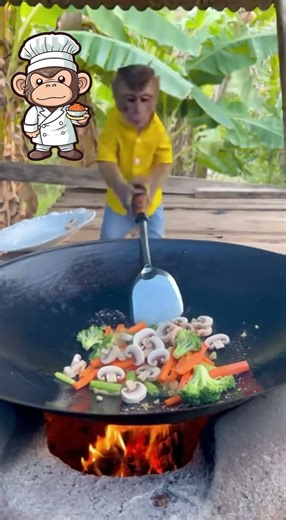 The master chef 😮 #monkey #animal #funny