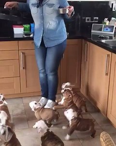 540K views · 2.8K reactions | CHARGE!!!!!!!!!!!  SOURCE:...