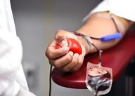 Blood Type ( Read ) | Biology