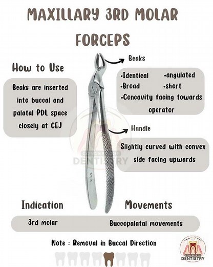 Maxillary Extraction Forceps #shorts #education #dentistry #conceptsofdentistry