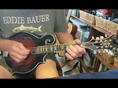 Salt Spring - Dave Herzog - Mandolin