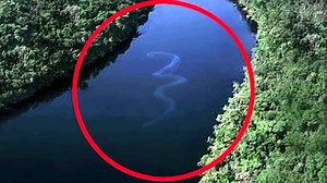 14M views · 11K reactions | Deadliest Creatures Of The Amazon! | Mysterious Stories | Facebook