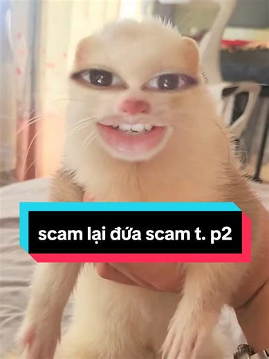 tui đã scam ngược lại đứa đi scam lừa đảo tui như thế nào. p2 . #chồn #thúcưng #luadao #canhbao #fyp