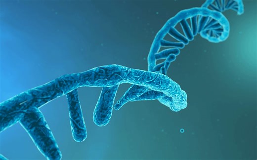 （七）Reactome-DO-DisGeNET富集分析——【医学转录组分析报告】