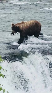 5.3K views · 127 reactions | Happy Sunday! Hope you catch something good!  | Wild Alaskan Company | Facebook