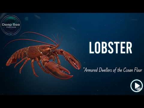The Lobster: The Armored Titan of the Seafloor