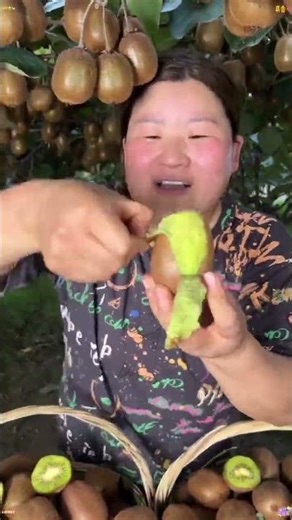 Harvesting Fresh Kiwifruit in the Orchard🥝🥝16 December 2025