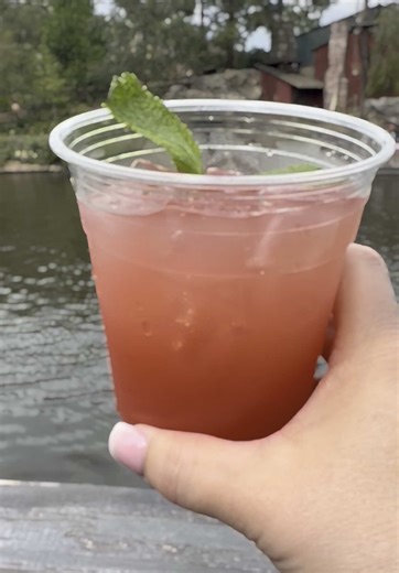 Rivers of America Dining Experience at Disneyland