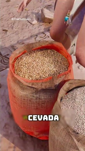 Teste Estranho no Antigo Egito | ‪@TheOutliners.‬ #shorts