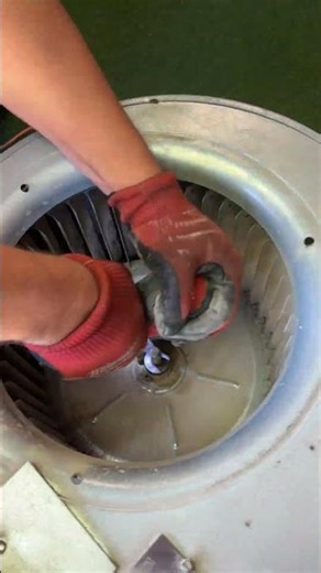 Dive into the Blower Motor Cleaning Process with Us!