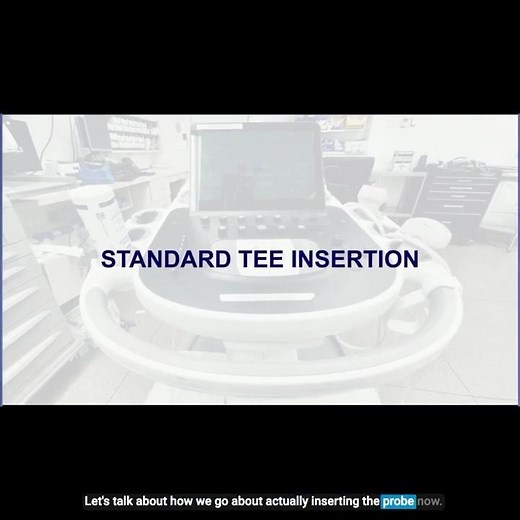 How to Insert a TEE Probe Properly (Transesophageal Echocardiography - Perioperative)