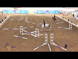 Gymnastic Exercises Using Poles and Grids—The Fan