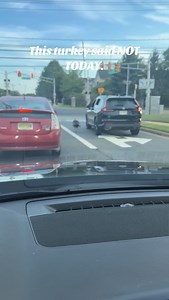 This Jersey turkey is taking Thanksgiving very personally Credit: tiktok/ mykolapolyulyak | The Garden State