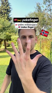 Body Parts in 🇳🇴Norwegian #norsk #norwegianlanguage #norwegisch #języknorweski #norveçce #اللغة_النرويجية #aflaaninorwegian #norsk #norska #زبان_نروژی #norvégien #idiomanoruego #norskt #linguanorvegese | Norweski przez skojarzenia