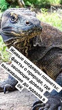 Animal FACTS that amaze the world: The most cunning and dangerous predators of the jungle nature ...