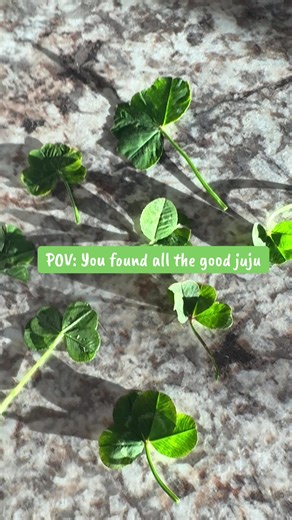 I found 7 4-leaf clovers and 2 5-leaf clovers in one day 🍀💚 #fyp #viral #fourleafclover #clover #lucky