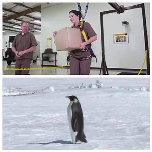 72K views · 1.2K reactions | When it’s colder in Atlanta than Alaska,...