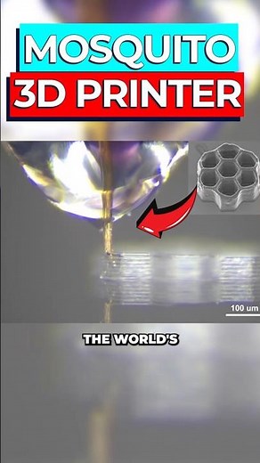 Scientists Turn Mosquito Into Smallest 3D Printer