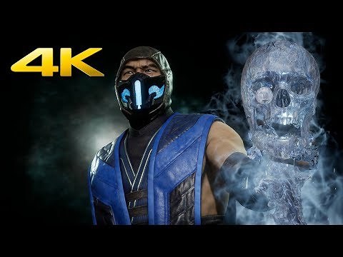 Mortal Kombat 11 - Sub-Zero All Skins, Intros & Victory Poses (4K 60FPS)