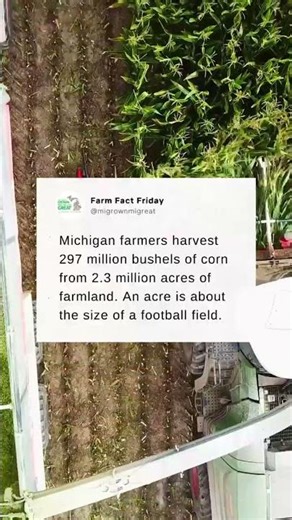Field corn isn’t just for your plate | Farm Fact Friday