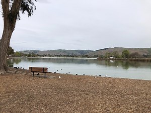 Plan To Prevent Lake Elizabeth Fish Die-Offs Approved By City Council