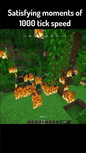 This is what happens when Minecraft tick speed is 1000!