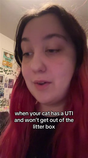 i get it though girl i do