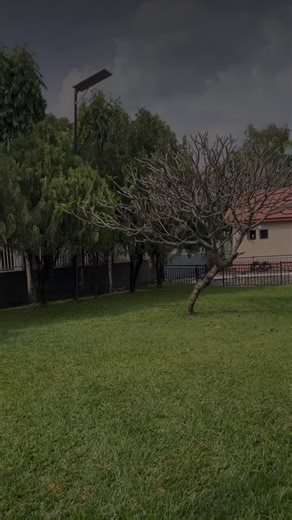 18 reactions | Here’s the truth: your brain doesn’t remember words—it...