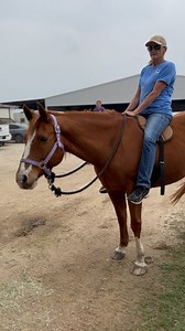 Our staff can’t get over this beautiful spring weather, so we celebrated with a trail ride! All horses shown are available for adoption. Looking for your next trail horse? Apply online at habitatforhorses.org/adopt ! | Habitat for Horses