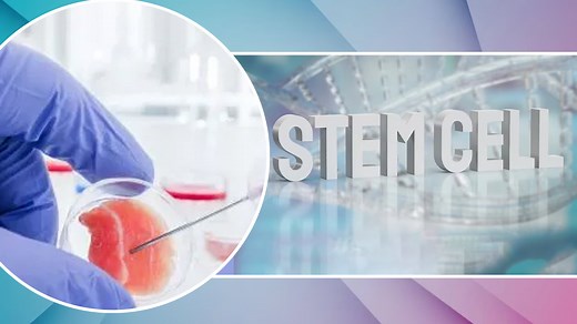 Stem Cell Banking: A Wise Investment for Your Child's Future Health