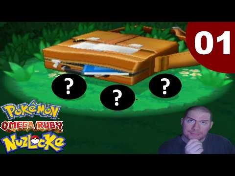 I Started a RANDOMIZED Pokémon Omega Ruby Nuzlocke