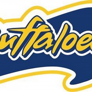 Elm Creek Varsity Boys Basketball • Home