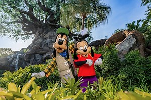 Florida Residents Save Up To 35% on Rooms at Select Walt Disney World Resort Hotels | Chip and Company