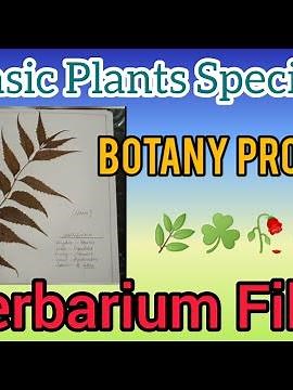 Herbarium File|Science Project|Botany Project on Herbarium|40 Basic Plants Specimens🌿☘️🥀🌾