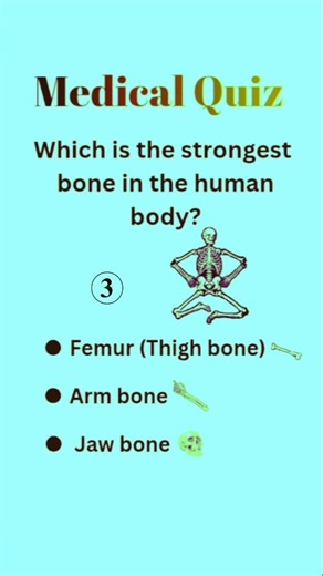 Strongest Bone in Human Body? 🦴#quiz#humanbody#shorts