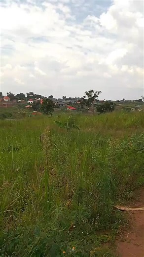 Ssalongo Abdul Property Master (@ssalongoabdulproperty)’s videos with original sound - Ssalongo Abdul Property Master